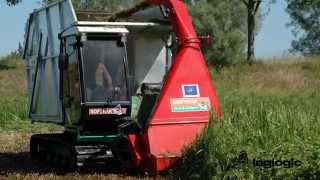 Softrak 120 Harvesting Phragmites Denmark video [upl. by Robma671]