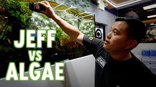 HOW TO KEEP YOUR FISH TANK ALGAEFREE  REFUGIUM EXPLAINED  NEW HYGGER PRODUCTS REVIEW [upl. by Nylek143]