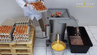 Automatic egg cracker UDTJ150 by OVOTECH [upl. by Clea369]