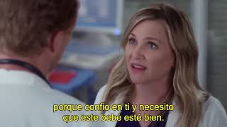 Arizona y Carina  SU HISTORIA PARTE 14  Greys Anatomy subtitulos español [upl. by Lyell810]