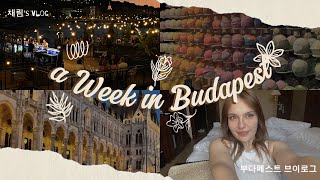 Vlog 헝가리 부다페스트 브이로그  Budapest Hungary Vlog [upl. by Landrum997]