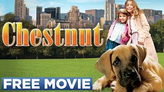 CHESTNUT THE HERO OF CENTRAL PARK  Official Movie [upl. by Ynez928]