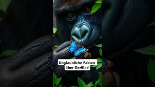 Unglaubliche Fakten über Gorillas tiere shorts facts fakten newvideo gorilla gorillas [upl. by Gnak]