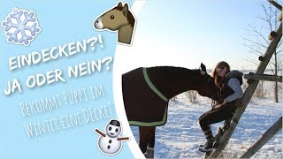 PFERD EINDECKEN JA ODER NEIN  Pferdedecken  Scheren  Die richtige Decke  jb Horses [upl. by Cheffetz824]