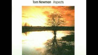 TOM NEWMAN Beach Scene ASPECTS [upl. by Selim434]