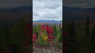 Autumn View from Burnt Mtn Baxter State Park shorts maine baxterstatepark [upl. by Mowbray]