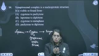 Synaptonemal complex is a nucleoprotein structure It is visible or found from [upl. by Tarfe]