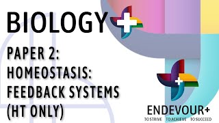 BIOL2 Feedback Systems HT Only [upl. by Lindsey473]