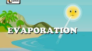 Evaporation  Elementary Science [upl. by Aneroc]