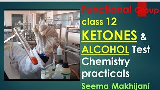 Functional group Test for Alcohol and Ketones by Seema Makhijani Class 12 Chemistry practicals [upl. by Ahsiekin]