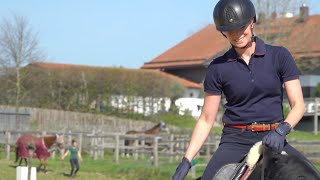 Abwechslungsreiches Training für Dressurpferde  So geht´s [upl. by Centonze]