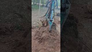 Digging tree rootsexcavatorshorts [upl. by Eeralih732]