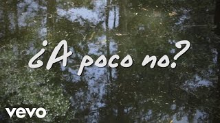 José Madero  ¿A Poco No Lyric Video [upl. by Villiers]