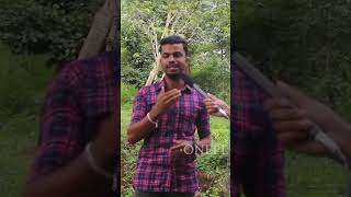 ബിനീഷിന്റെ മിമിക്രി  Bineesh wayanad Mimicry oneplus1 bineeshwayanad [upl. by Elinore]