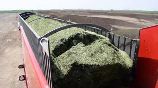 14 Versa bagger taking in Triticale forage [upl. by Nelak]