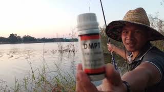 หัวเชื้อผง DMPT ตัวเร่งปลากินไว จริงไหมfishing ตกชิงหลิว หมายธรรมชาติ [upl. by Ayikin]