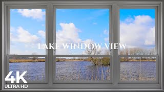 4K lake Window View with animals on a sunny day  Relaxing Calming Ambience [upl. by Bearce]