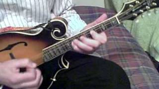 Maple Leaf Rag on mandolin [upl. by Aseneg]