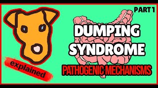 Dumping syndrome Part 1 Definition Physiology General concepts [upl. by Friede]