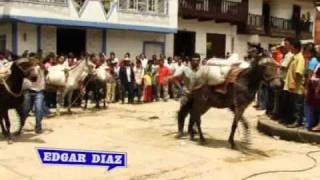 Celebración del día del campesino en Cucutilla [upl. by Ledniahs]