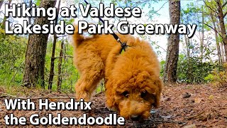 Hiking at Valdese Lakeside Park Greenway [upl. by Gaidano]