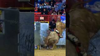 Motosierra del DF en USA jinete guerrerodeljaripeo jaripeo viral [upl. by Ardnaid186]