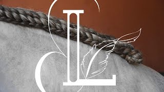 THE FOUR STRAND HORSE BRAID⎟LAZUENNE TUTORIAL [upl. by Nauqes]