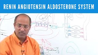 Renin Angiotensin Aldosterone System  RAAS👨‍⚕️ [upl. by Nnanerak]