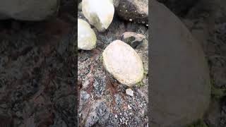 Goonies geology 101 Concretions in mudstone [upl. by Hsital]