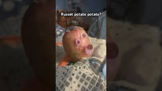 Russet potato potato [upl. by Gnihc]