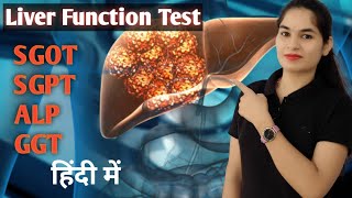 Liver function test in Hindi LFT Test  SGOT  SGPT  ALP  GGT  LFT Normal range  Biochemistry [upl. by Yvan]