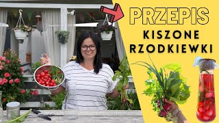 KISZONE RZODKIEWKI HIT DO GRILLA Przepis na PRZETWORY prosto z ogródka [upl. by Gabbie612]