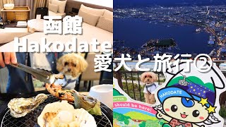 【わんわんWalt】愛犬と旅行を楽しむ 北海道 函館 観光編｜マルプー｜愛犬｜旅｜宿泊｜HAKODATE [upl. by Aleit357]