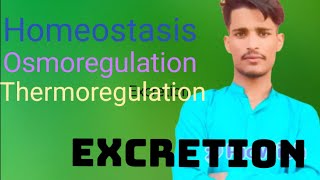 Homeostasis Osmoregulation Thermoregulation lecture in hindi [upl. by Duthie]