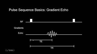 Introduction to MRI Basic Pulse Sequences TR TE T1 and T2 weighting [upl. by Artaed]