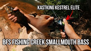 Fishing Creek for Summer Smallmouth Bass  KASTKING Kestrel Elite BFS [upl. by Akemad408]