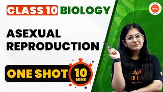 Asexual Reproduction Class 10 One Shot  How Do Organisms Reproduce  CBSE 10th Biology Chapter8 [upl. by Susanetta]