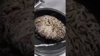 Unfolding the Mysteries of Resurrection Plant😱 facts knowledge science america mystery shorts [upl. by Durarte]