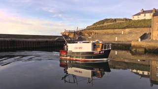 BURGHEAD HARBOUR LIFE [upl. by Jelle477]