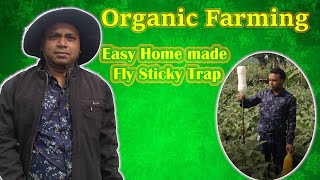 HOMEMADE STICKY TRAP TO CONTROL INSECTS and SMALL PESTS [upl. by Devina]