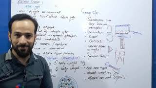 Adipose Tissue  Types of Adipose Tissue  Connective tissues  Part1 [upl. by Natan]