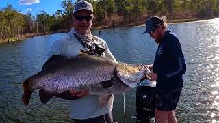 BIG Barramundi on Luckycraft and Molix lures [upl. by Limaj]