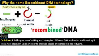 What is Recombinant DNA Technology or rDNA technology a simple Definition [upl. by Risley]