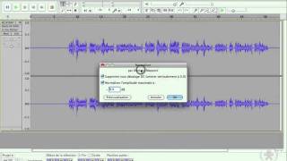Audacity 39  Réduction du bruit de fond [upl. by Alidis]
