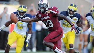 2013 Outback Bowl South Carolina vs Michigan [upl. by Nayt]