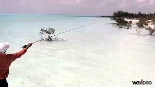 Casting 1  Capt Shawn Leadon  Bonefishing  Andros Island Bonefish Club [upl. by Ynaoj]