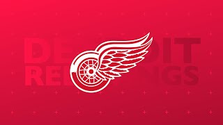 Detroit Red Wings 2024 Goal Horn [upl. by Assirahs672]