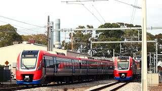 The many perspectives of Edwardstown Railway Station Train Spotting [upl. by Jamison979]