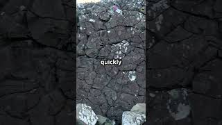 Igneous vs Metamorphic Rocks Whats the Difference [upl. by Fabe]