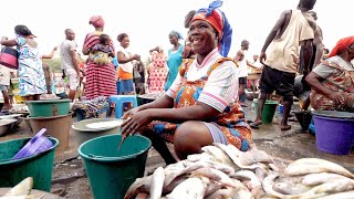 The Most Famous FISH MARKET in GHANA Eating Waakye  Elmina Castle Tour  Elmina Ghana [upl. by Osner572]